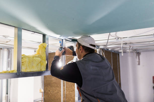 Best Insulation for Specific Applications in Auburn, IL